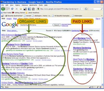 Organic vs. Paid Example Example of Organic and Paid Results on Google